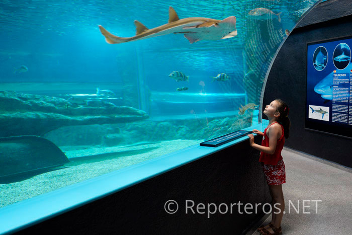 Visita al Aquarium Costa de Almería