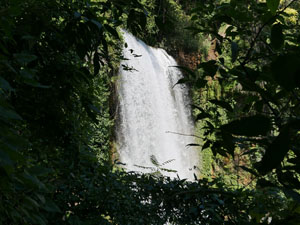 Monasterio de Piedra Monasterio de Piedra